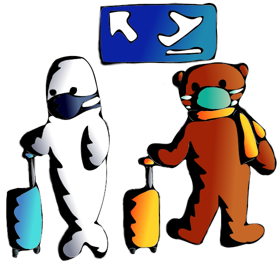 Get IATA codes